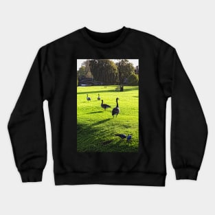 Stamford street 4 Crewneck Sweatshirt